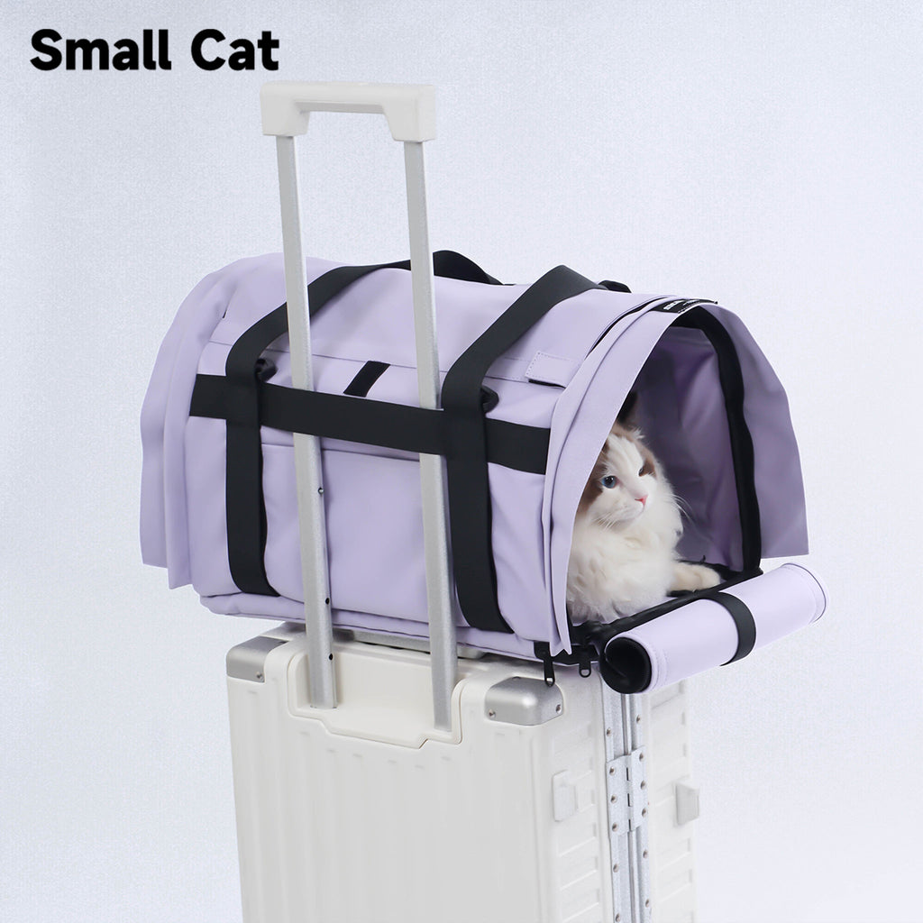 Backpack Pet Carrier for Cats & Dogs - Airline Approved for Travel