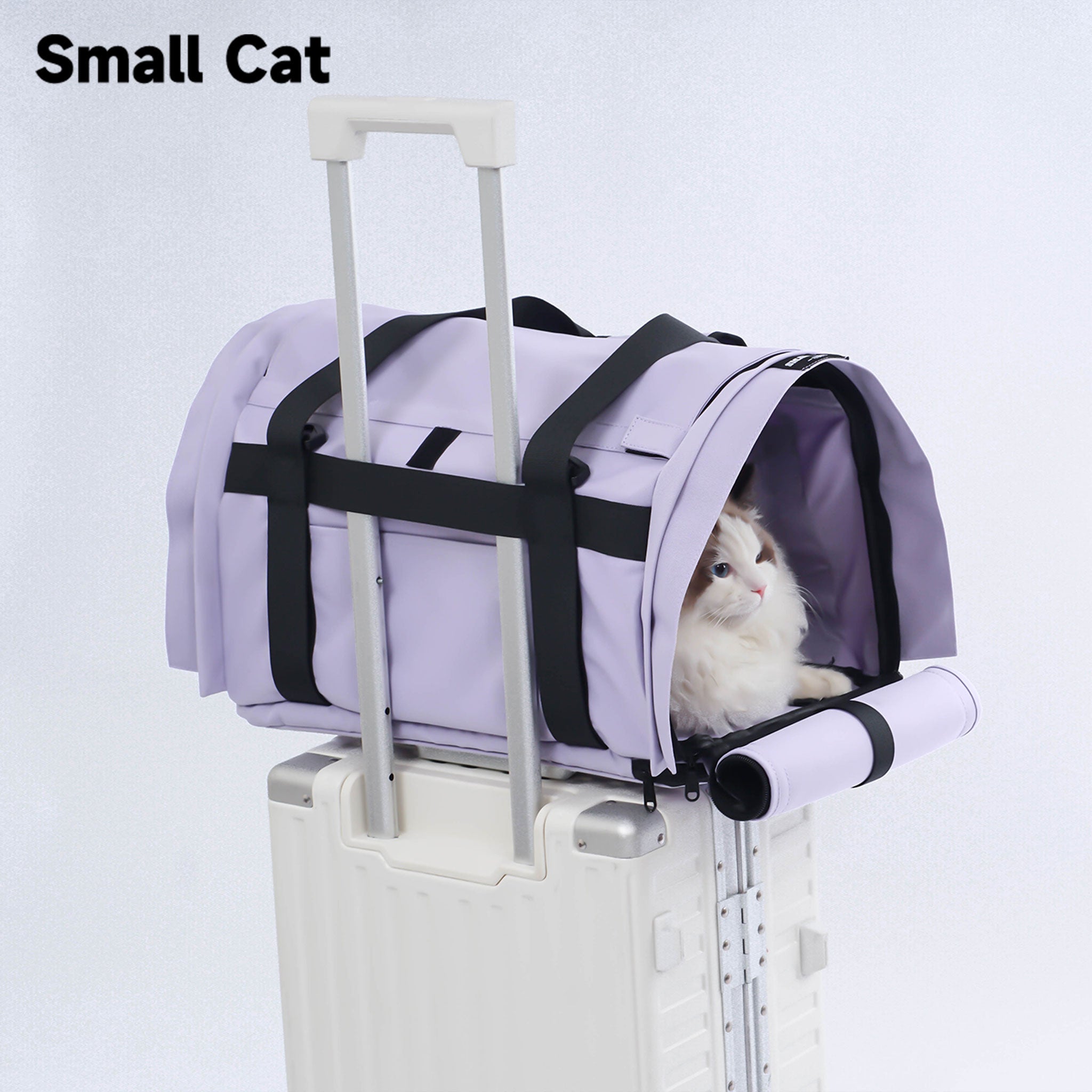 Backpack Pet Carrier for Cats & Dogs - Airline Approved for Travel
