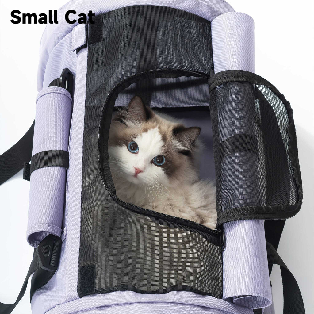 Backpack Pet Carrier for Cats & Dogs - Airline Approved for Travel