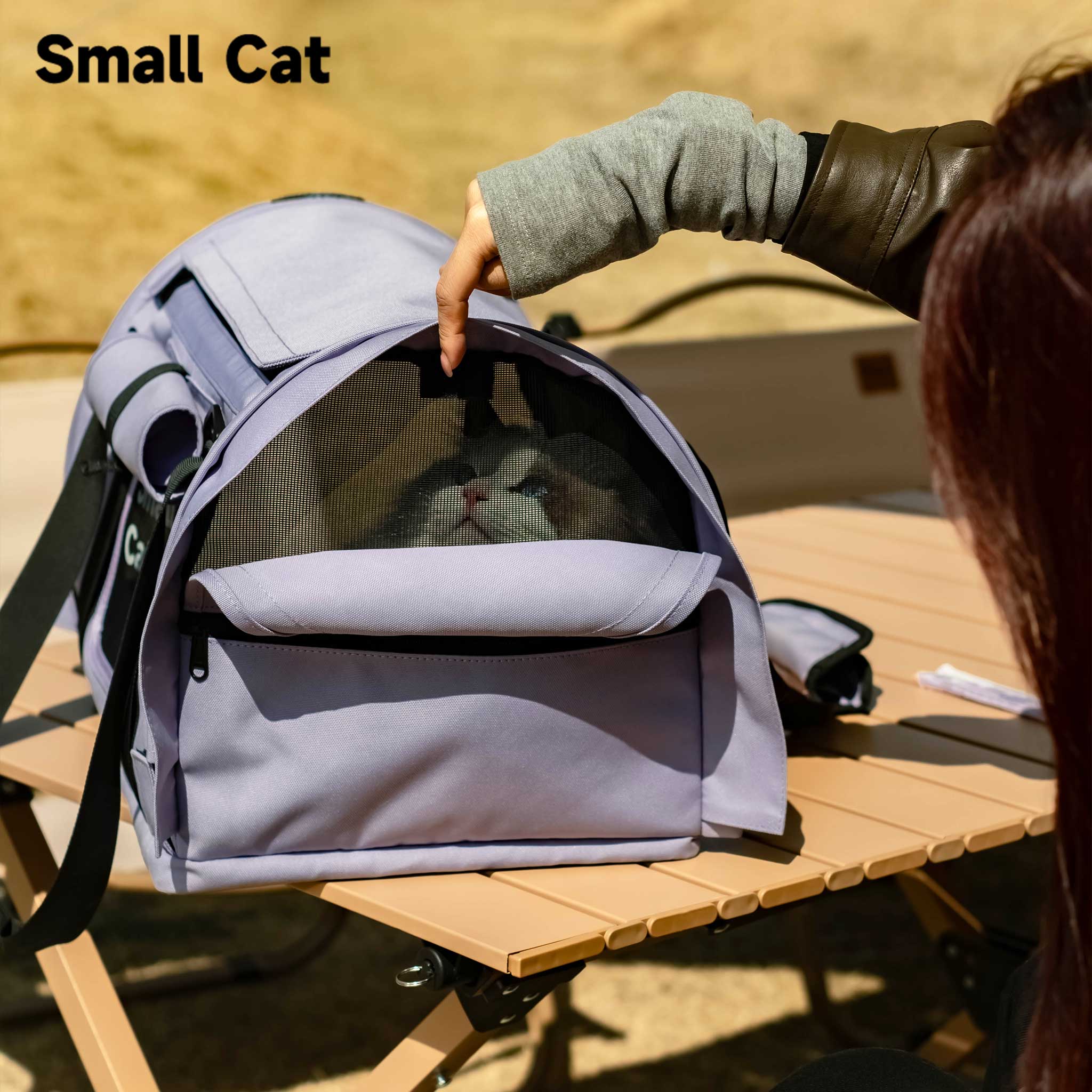 Backpack Pet Carrier for Cats & Dogs - Airline Approved for Travel