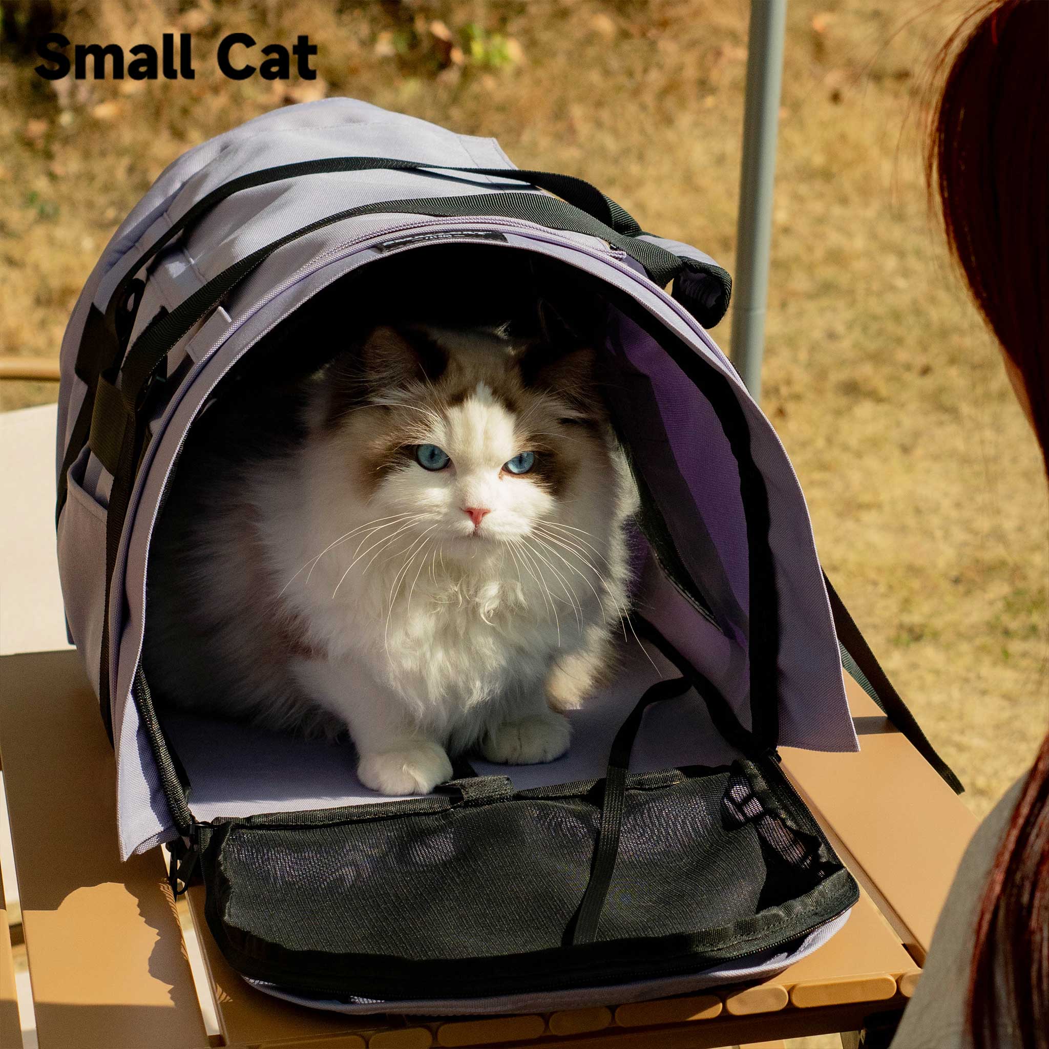 Backpack Pet Carrier for Cats & Dogs - Airline Approved for Travel