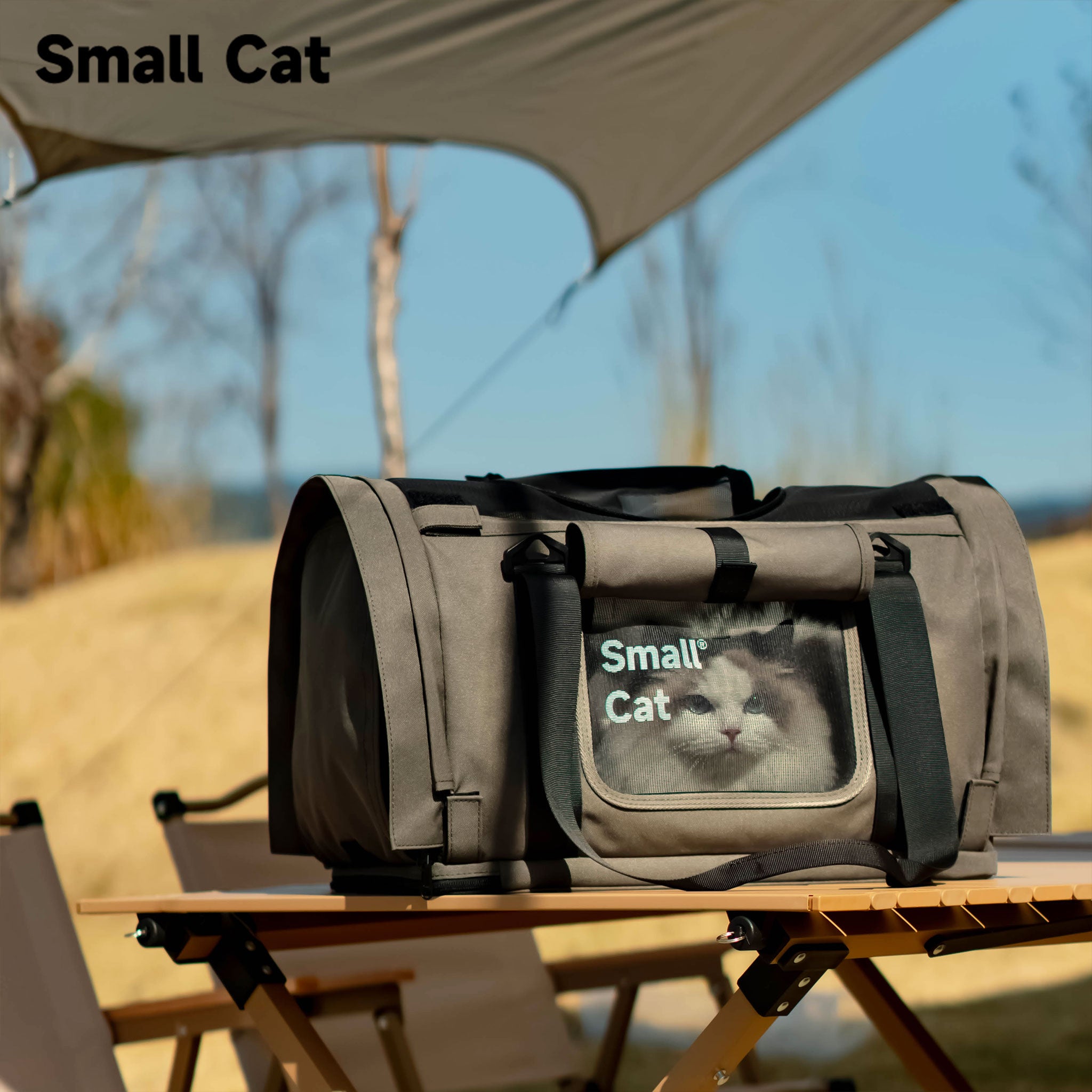 Backpack Pet Carrier for Cats & Dogs - Airline Approved for Travel